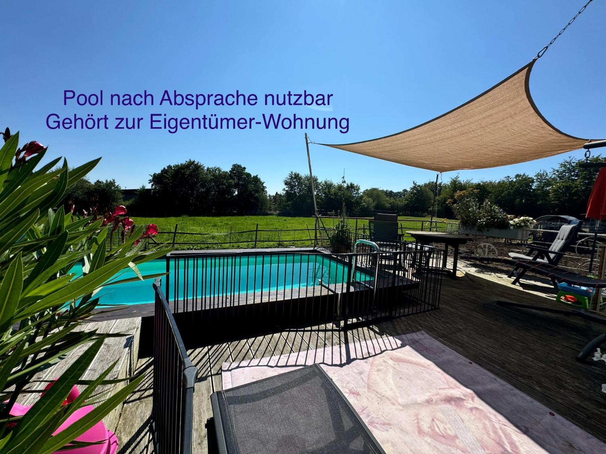 Maisonette - 2 Schlafzimmer - Wohn-Küche - Balkon - Hohes Venn - Monschau - Eifel - Hunde willkommen beim Hof Vierzehnender - Islandpferde Exterior foto