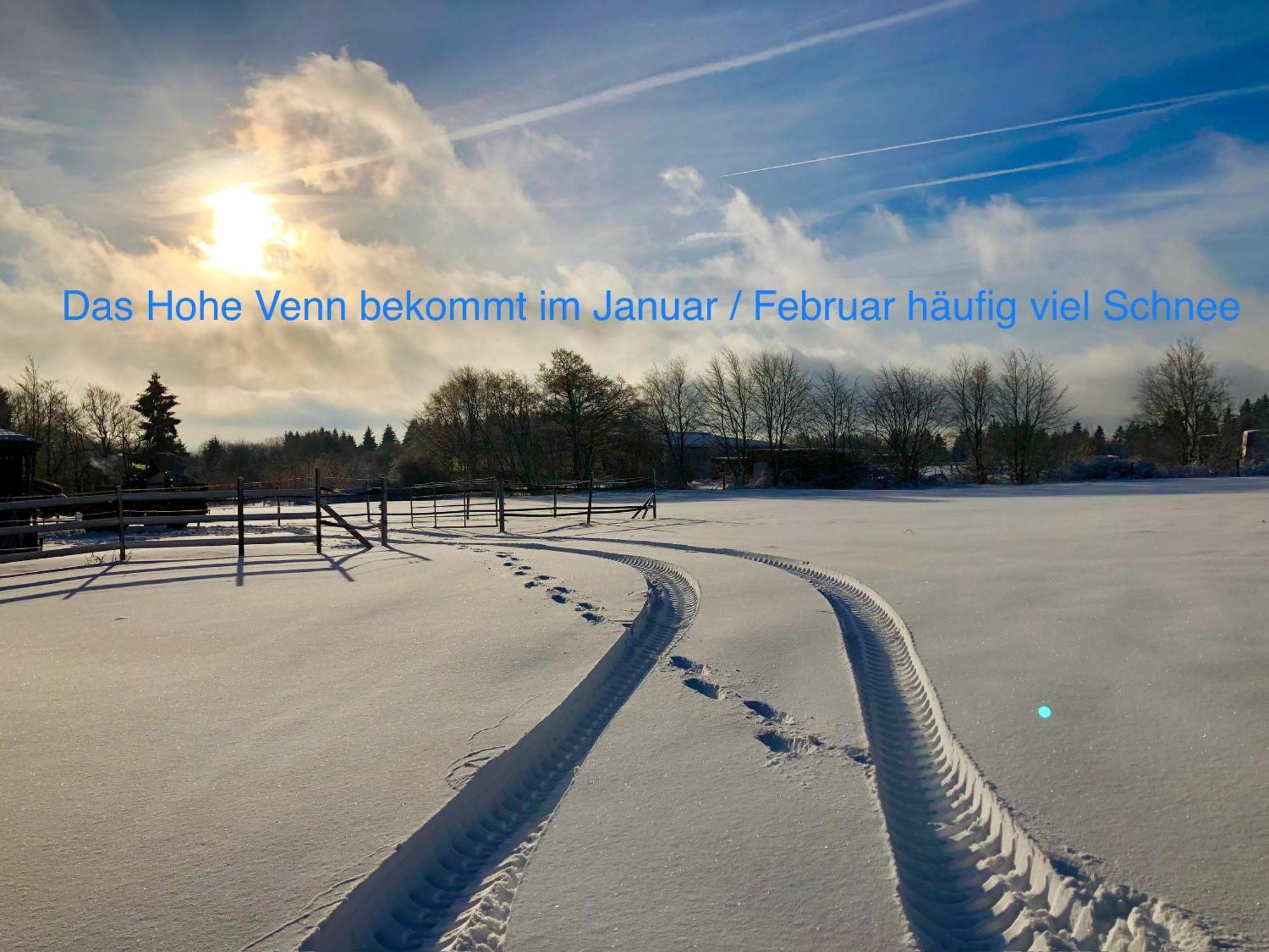 Maisonette - 2 Schlafzimmer - Wohn-Küche - Balkon - Hohes Venn - Monschau - Eifel - Hunde willkommen beim Hof Vierzehnender - Islandpferde Exterior foto